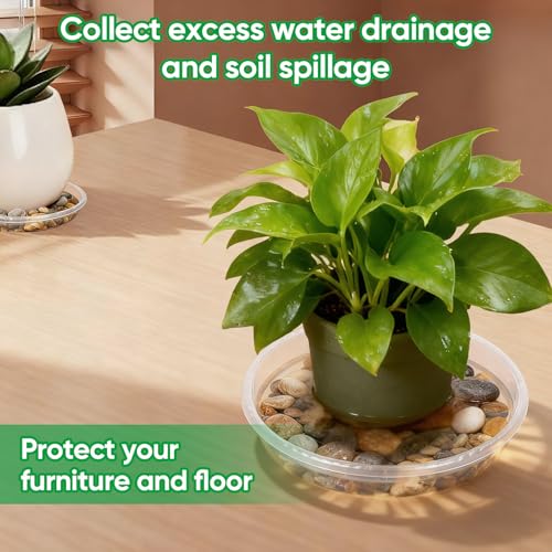 20 Pack Plant Saucer Tray, 6/8 /10/12 inch Heavy Duty Flower Pot Trays, Plastic Plant Saucer for Indoor & Outdoor Plants, Plant Trays to Catch Water, 5 Pieces of Each Size - view 4