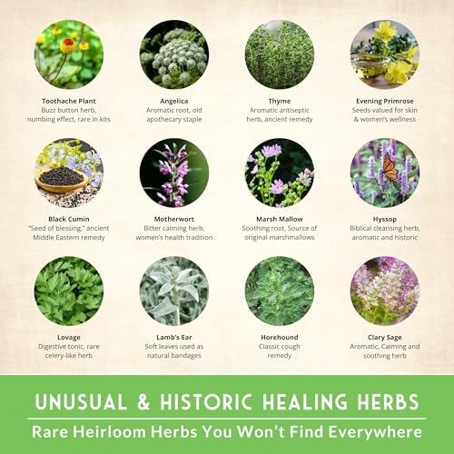 Ultimate Medicinal Herb Seeds, 36-Variety Heirloom Non-GMO Pack - view 2