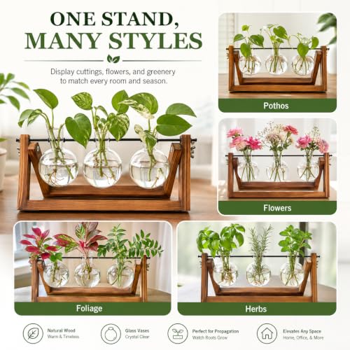 Plant Propagation Station, Plant Terrarium with Wooden Stand - view 5