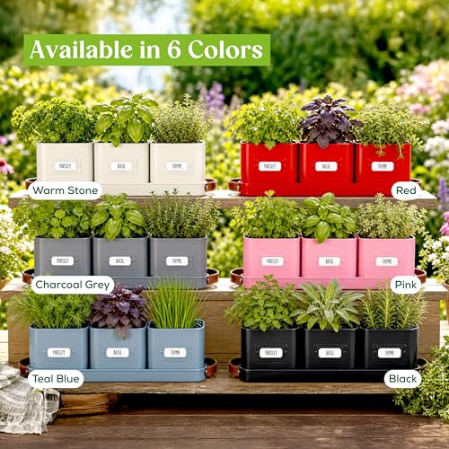 Herb Planter Indoor - Set of 3 Black Indoor Herb Garden Pots for Plants with Leather Handled Tray - Window Sill Plant Shelf - Herb Pots with Drainage Holes and Labels - view 6
