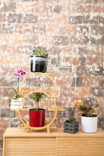8 inch Self Watering Plant Pot for Indoor Plants, African Violets, Succulents, The Aqua Core Collection (Designer White) - view 5