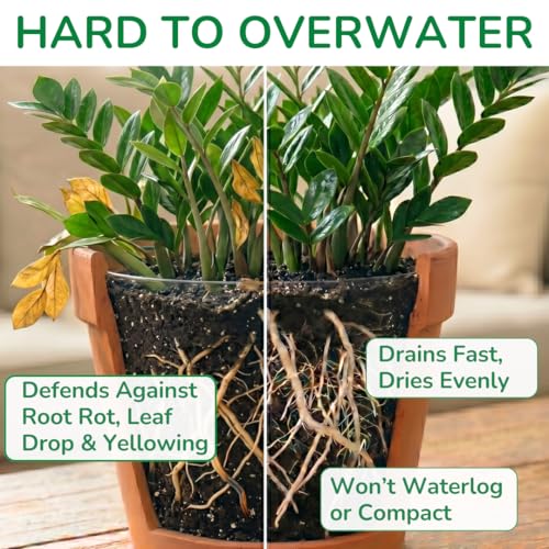 Organic Indoor Plant Soil, Well-Draining Potting Mix, Large 7.5L Bag - view 4