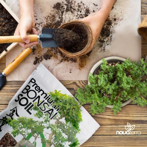 Novaterra Bonsai Potting Soil Mix for Indoor Bonsai Trees, 2.4 Quarts - view 2