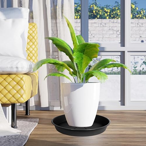 6 Pack of Plant Saucer Tray 11 12 inch, Heavy Duty Plastic Pot Plant Drip Trays Saucers for Indoors Outdoor, Plant Water Tray for Planters 11-12" (12", Black) - view 7