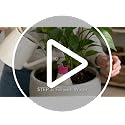 4 Pack Self Watering Stakes, Slow Release Plant Spikes for Plant Pots 15oz - view 7