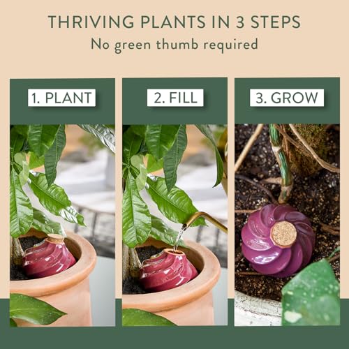 Terracotta Self-Watering Bulbs, 10oz-Plum, Sage & Mustard-3Pk - view 5