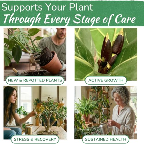 Indoor Plant Food - Organic Liquid Fertilizer for Pothos, Peace Lily, Monstera, Cactus and More - 8 oz - view 3
