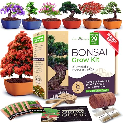 Premium 4 Varieties & 6 Bonsai Tree Starter & 4 Bonsai Tree Starter & Gold Yarrow 1,600 Seeds Kit - view 4
