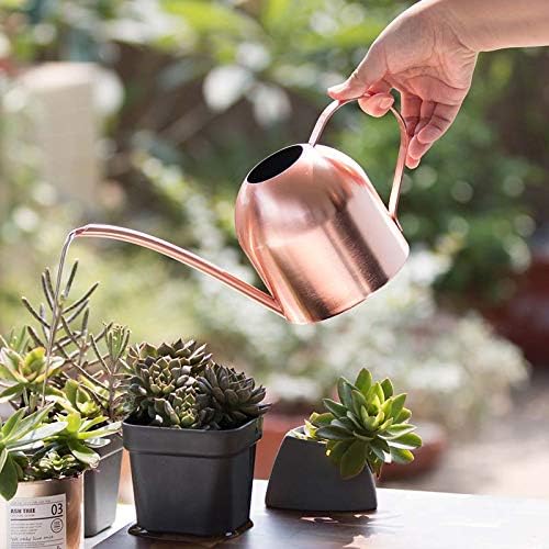 Small Watering Can for Indoor Plants, 15oz/450ml Stainless Steel Long Spout Watering Can for Succulents, Herbs (Rose Gold) - view 2