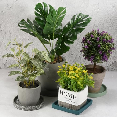 1-Pack Plant Pot Saucer 5 Inch OD Black - view 6