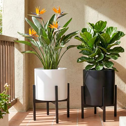 Mid Century Plant Stand Indoor Outdoor(Plant Pot Not Included), Holds Planters with a Maximum Width of 14 Inch, Metal Planter Stand, Potted Plant Holder, Black - Width Not Adjustable - view 5