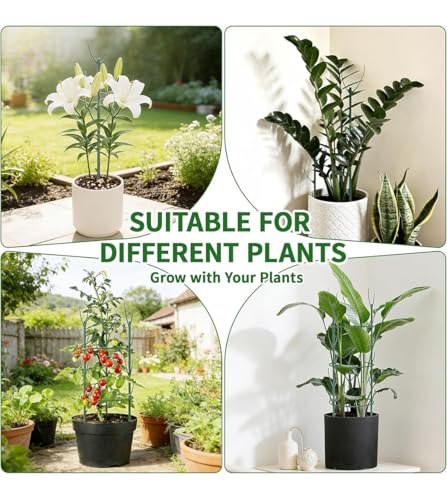 12 Pack Stackable Monstera Plant Support, Upgrade Pothos Plant Climber Support Indoor Plant Stakes with 12 Clips and Cable Ties Plant Poles for Vine Training Stem Stabilization - view 6