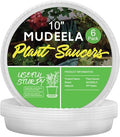 6-Pack Plastic Plant Saucers Tray for Indoor, 10 Inches, Clear