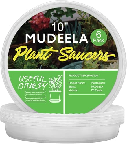 6-Pack Plastic Plant Saucers Tray for Indoor, 10 Inches, Clear
