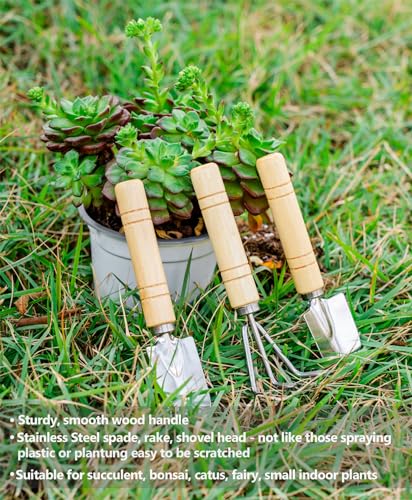 Plant Repotting Mat, 5Pcs Succulent Tools Mini Garden Small Gardening Tools Indoor, Pruning Shear Gardening Scissor, Hand kit for Bonsai, Cactus, Fairy, Houseplant Transplanting, Seedling - view 5