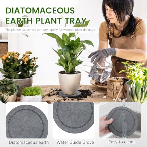 3 PCS Round 5.9" Diatomite Plant Saucers for Indoors, Plant Plate - view 7