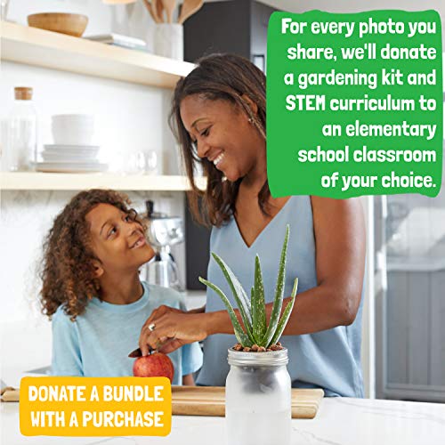 Self Watering Grow Kit - Glass Hydroponic Planters for Succulents and Cacti Self-Watering System - view 4