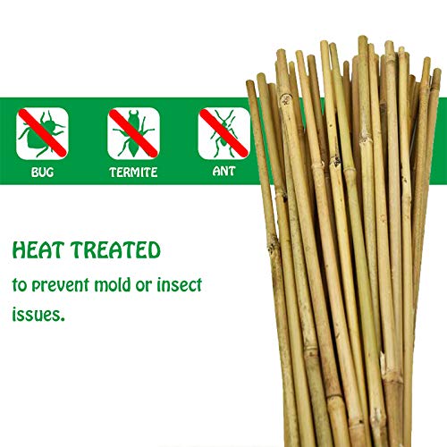 Natural Bamboo Stakes 57 Inch (Approx 5 FEET), Eco-Friendly Garden Stakes, Plant Stakes Supports Climbing for Tomatoes, Trees, Beans, 20 Pack - view 3