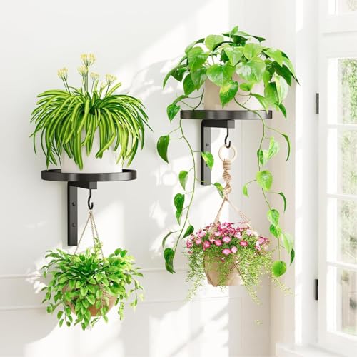 Other Gardening Supplies Metal 15cm Tray with Hooks Indoor Hanging Planter Shelf Space Saving for Small Spaces Kitchen Bathroom Living Room Wall Mounted Plant Stand, Wall Mounted (2PCS) - view 3