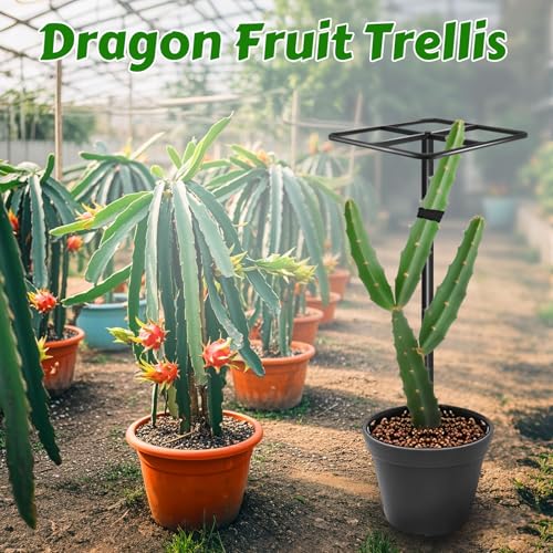 Metal Dragon Fruit Trellis 61",Adjustable Dragon Fruit Plant - view 2