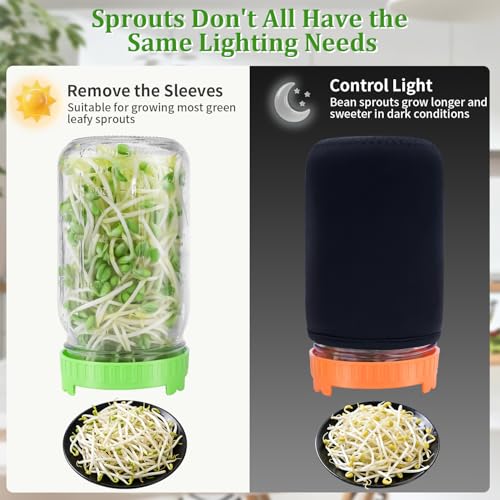 Seed Sprouting Jar Kit with Mung Beans 2.9oz, 2 Large Wide Mouth Mason Jars with Sprouting Lids, Blackout Sleeves, Drain Tray, Sprouts Growing Kit for Growing Bean, Alfalfa, Radish Sprout Seeds - view 3