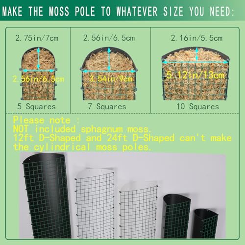 Metal Moss Poles for Climbing Plants, D-Shape Sphagnum Moss Pole Monstera Plant Support for Climbing Plants, DIY Plant Stakes Work with Sphagnum Moss (12ft D-Shaped Clear) - view 4