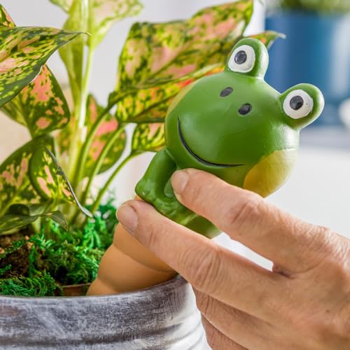 Terracotta Plant Self Watering Spikes, 4 Pack Plant Watering Globes Frogs Styles Decorative Self Plant Watering Stakes Vacation Plant Watering Bulbs for Indoor Outdoor Plants - view 5