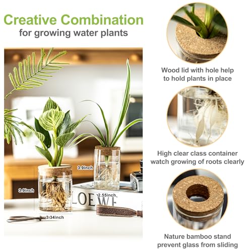 Glass Plant Propagation Stations for Plants – Set of 4(2 Large & 2 Small) Hydroponic Vases for Plant Cuttings,Flower Arrangements, Home & Office Decor–Desktop Vases for Living Room, Bedroom (4) - view 2