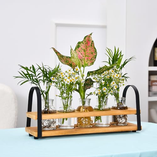Plant Propagation Station with Wood Stand, Desktop Terrarium for Hydroponic, Flower Vase for Home, Kitchen, Office Decor, Plants Lover Gifts - view 6