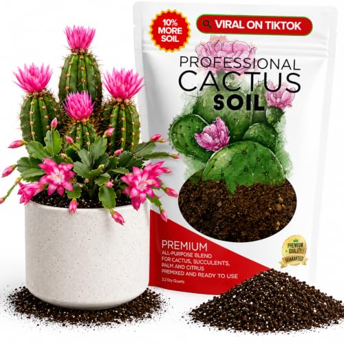 Professional Cactus Soil Mix Large 2.2 Quarts Ready to Use, Premium Fast Draining Potting Soil for Cactus and Succulents, Peat Moss Coco Coir Perlite Dolomite Blend Indoor Plant Soil Made in USA