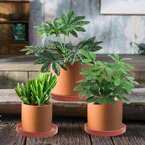 Ceramic Plant Saucer 2 Pack, 8 Inch Terracotta Red, Fits 7 to 8 Inch Pot Bases, Heavy Duty Glazed Drip Tray Catches Water for Indoor Outdoor Potted Plants - view 5