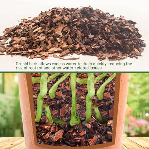 2qt Orchid Bark Horticultural Grade- Natural Mulch for Potted Plants, Root Development of Orchid Plants and Garden Soil Amendment Mix - view 5