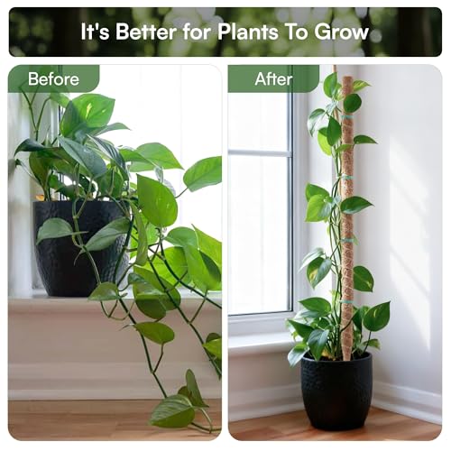 2 Pack 48'' Bendable Moss Pole Monstera Plant Support for Indoor Climbing Plants, Tall Plant Stick Support Stake for Potted Plants, Pothos, Philodendron - view 3