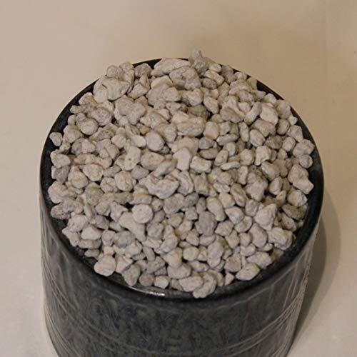 Horticultural Pumice - 14 Dry quarts - Cactus Succulent Soil Amendment - view 3