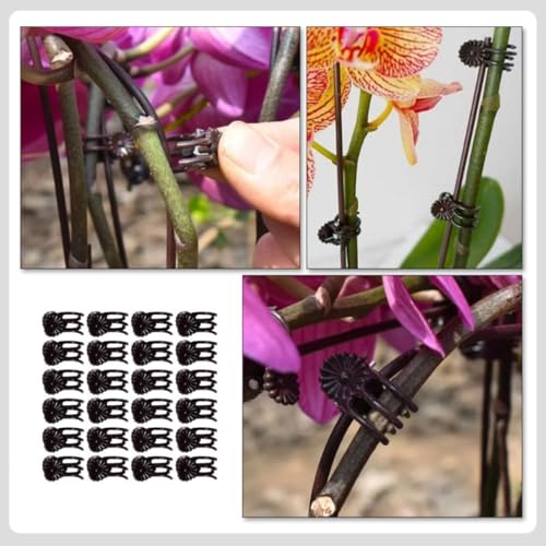 100pcs Plant Fixing Clips 2x1.5x1cm Plastic Spring Support for Orchids - view 7