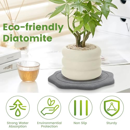 Plant Saucer for Indoors, 2 Packs 8 12 inch, Diatomaceous Earth Pot Saucers No Holes, Instant Dry Plant Drainage Trays for Pots, Dark Gray - view 3