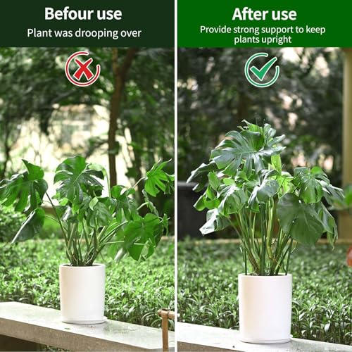 4 Pack Plant Support Stakes, Plant Stakes for Indoor and Outdoor Plants. 28inch Plant Sticks with Extension Poles, Plant Clips, Plant Ties for Potted Monstera Plants, Climbing Plants - view 6