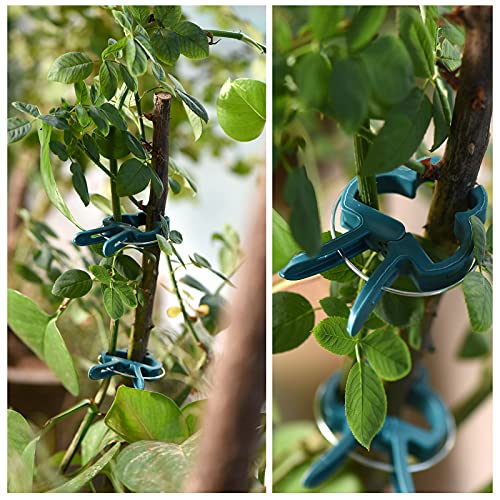Plant Support Clips, 80 PCS Gentle Flower Plant Clamps for Supporting Vine Climbing Plants, Gardening Lever Loop Gripper Clips Help Stems Vines Grow Straight Upright, 2 Sizes in one Pack - view 4