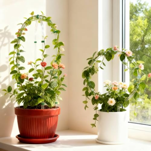 6 Pack Plant Trellis for Hoya Pothos, 3 U-Shaped & 3 Round Indoor Plant Trellis, Rustproof Acrylic Climbing Plant Support for Vines Flowers Potted Plants - view 6