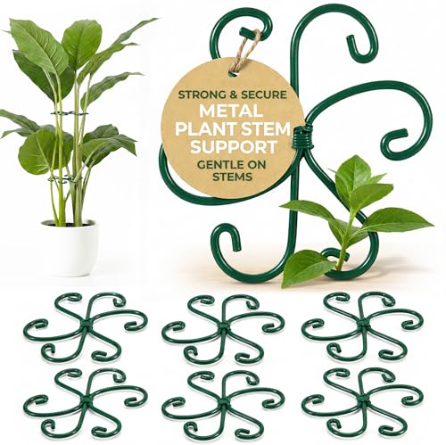 6 Pack Metal Plant Stem Supports for Indoor Plants (Green) - Houseplant Climbing Stem Supports and Stabilizer for Outdoor Plants