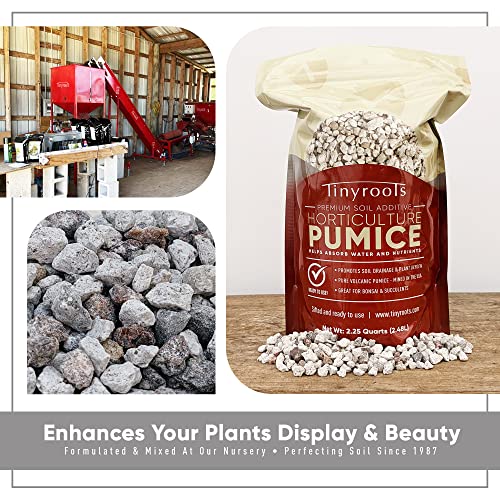 Tinyroots Horticultural Pumice for Plants - Soil Additive for Succulents, Cactus, Bonsai & Other Plants - 100% Pure Volcanic Rocks, 1/4 inch Soil Additive, 2.25 Quarts - view 4
