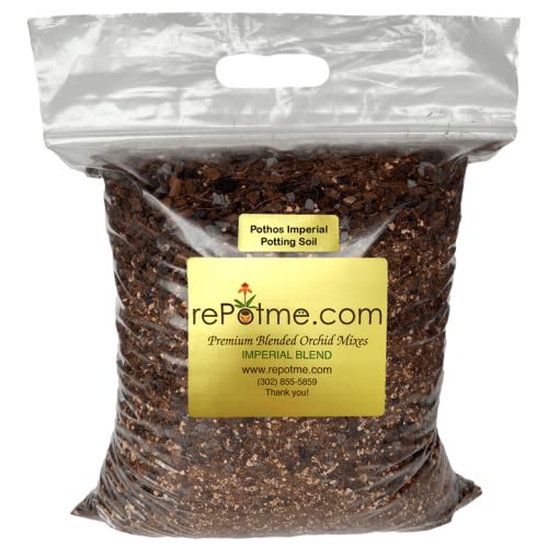 Pothos/Ivy Potting Soil for Indoor Plants - Imperial Houseplant Potting Soil Mix - Junior Bag (4 Quarts)
