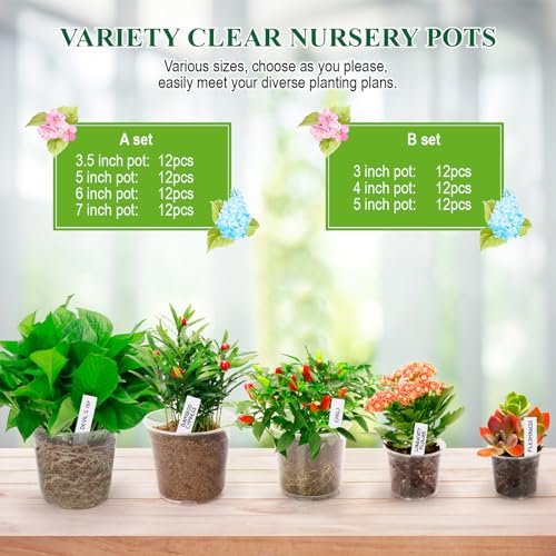 Clear Nursery Pots with Drainage Holes-36 Pack 3/4/5Inch Transparent Plastic Plant Pots for Seed Starting, High Visibility Root Growth Monitoring&36Plant Labels (Transparency-no Lid, 3/4/5in-36p) - view 6