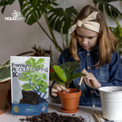 Novaterra Fiddle Leaf Fig Potting Soil Mix for Ficus Lyrata, 2.4 Quarts - view 3