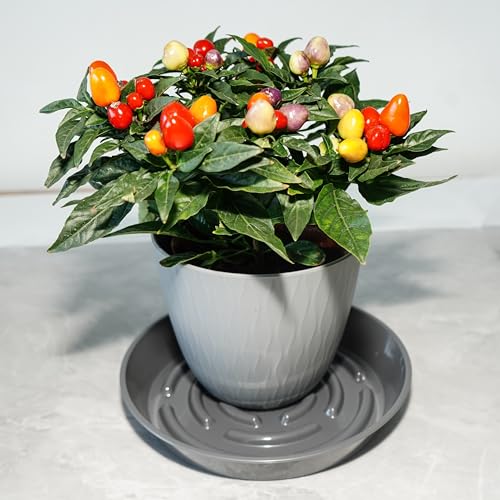 2 Packs Plant Saucer Pot Tray, 14 inch Grey Flower Planter Saucers and Drip Trays - view 5
