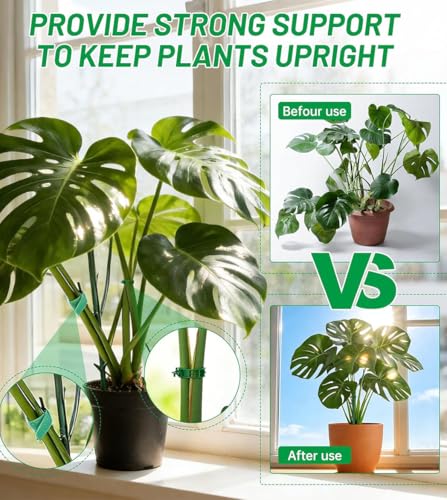 12 Pack Stackable Monstera Plant Support, Upgrade Pothos Plant Climber Support Indoor Plant Stakes with 12 Clips and Cable Ties Plant Poles for Vine Training Stem Stabilization - view 4