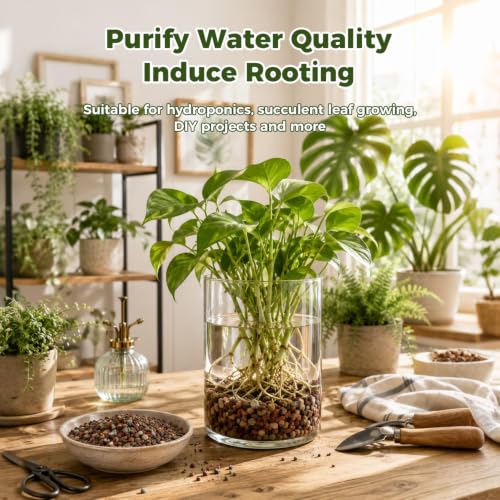 11 Pounds Mix Horticultural Lava Rocks, 3-6 mm Lava Rocks for Plants, Bonsai Rocks Horticultural Grit Soil Cover Gravel for Succulents and Hydroponics, Fairy Gardening, Top Dressing, Plant Drainage - view 7