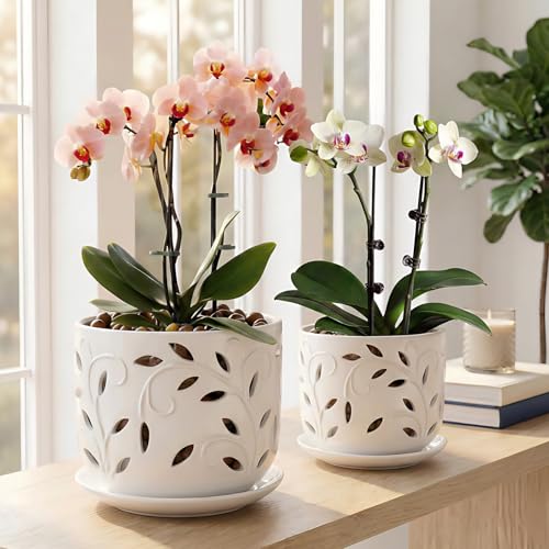 Ceramic Orchid Pots 5+6 Inch White with Drainage Holes & Tray, Breathable Airflow, Indoor & Outdoor - view 6
