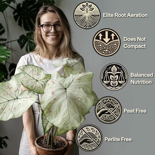 Craft Aroid Potting Mix, Chunky Soil Mix for Monstera, Alocasia, Philodendron, Anthurium & Tropical Plants, Organic Well Draining Indoor Potting Soil for House Plants, Peat Free, 2 QT - view 3