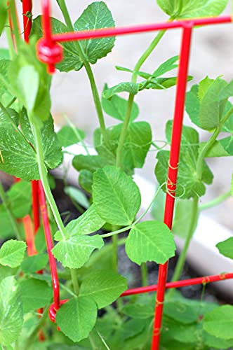 Gardeners Supply Company Sturdy Expandable Tall Pea Trellis for Climbing Plants | Multi-Use Heavy Duty Outdoor Garden Peas, Tomato, Cucumber Steel Plant Support | 9'-8" L x 37" H - Green - view 2